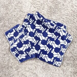 Pottery Barn Kids Airplane Print Bath Towel & Washcloth Lot